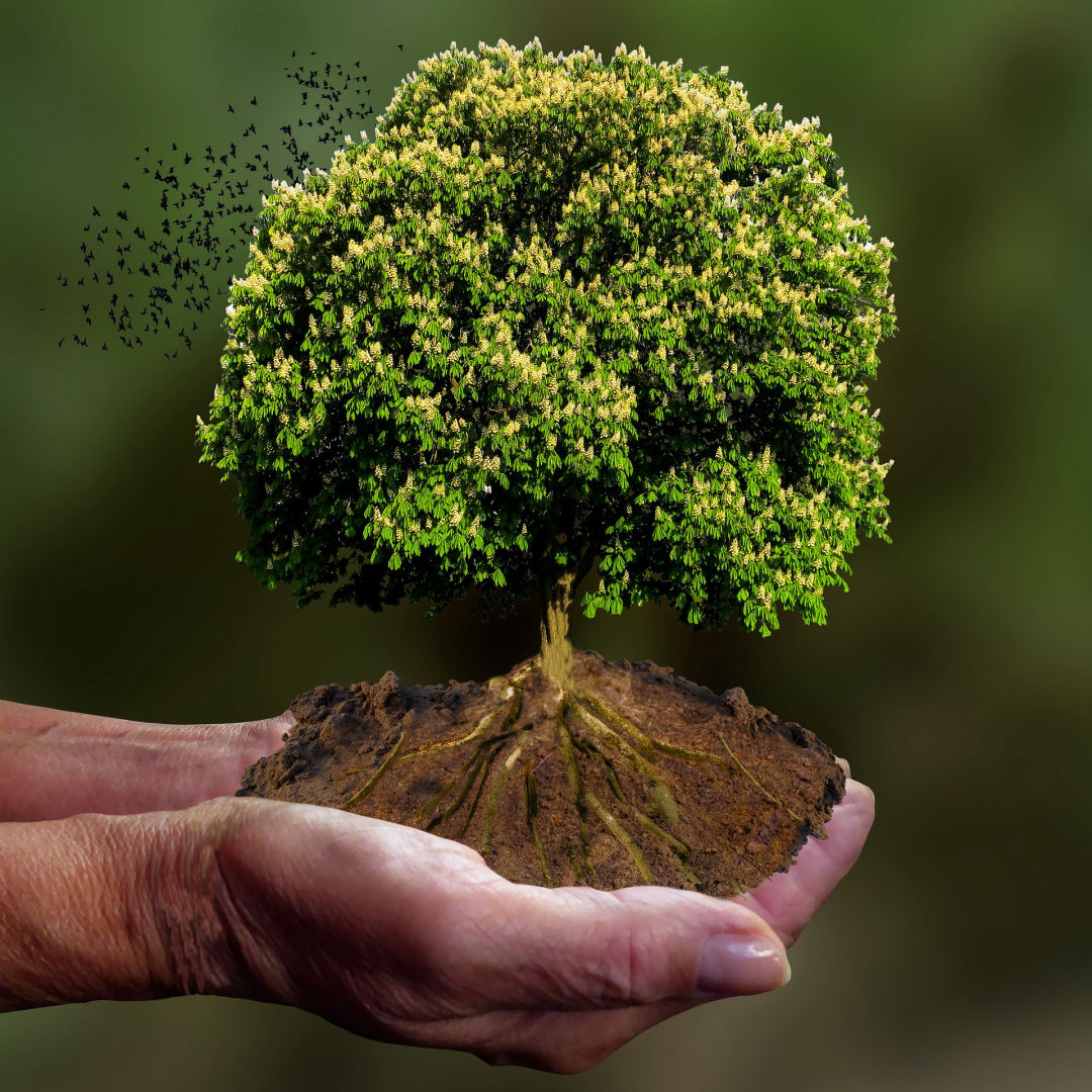 foto de um advogado assinando